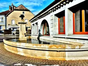 Fontaine-lavoir (© Jean Espirat)