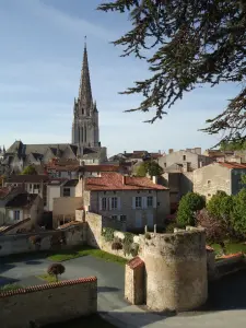 Panoramic view of the city