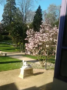 Le jardin des Cordeliers, derrière la mairie