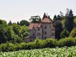 Le château de l'Orbière