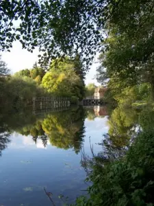 Bord de Seine