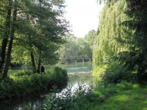 Bord de Seine