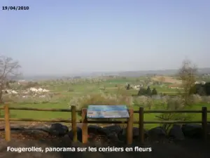 Cerezos en flor en abril, hermosos paisajes