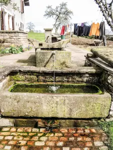 Fontaine-lavoir au Prémourey (© J.E)