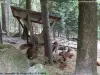 動物公園