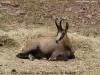 動物公園
