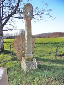 Oratoire à la colonne gravée de fleurs - Hameau de Deshayes - Fougerolles-le-Château (© Jean Espirat)