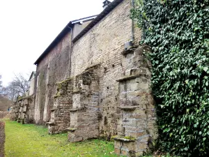 Muro de contención norte de la explanada del castillo de Fougerolles (© Jean Espirat)