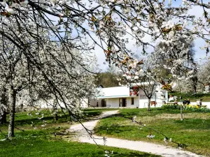 Ecomuseo de la tierra de la cereza - Le Petit Fahys (© J.E)