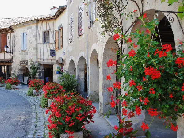 House with flowers