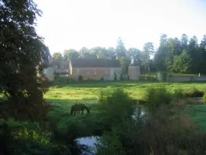 Frazé Kasteel van een afstand