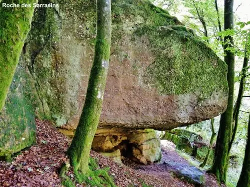 Gestein von Sarrasins - Naturstätte in Frédéric-Fontaine