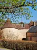 Pretty roofs