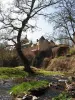 View of the castle