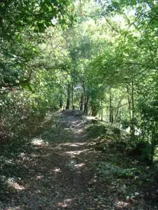 Hiking trail