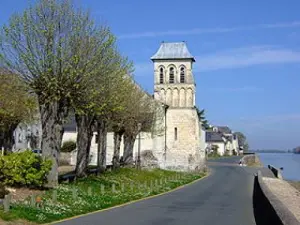 The Thoureil and its banks of the Loire