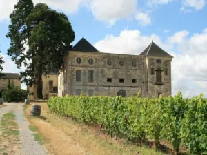 Castle of Pimpéan