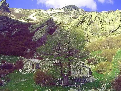 Ghisoni - Guía turismo, vacaciones y fines de semana en Alta Córcega
