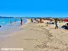 Giens - Plage de l'Almanarre, fin juillet (© Jean Espirat)