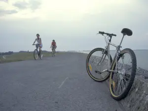 Lac du Der mit dem Fahrrad (© Fremdenverkehrsbüro von Lac du Der en Champagne)