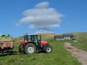 Buron du col de Légal en activité fromagère