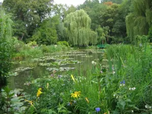 Les jardins de Monet
