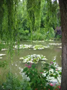 L'étang à Giverny