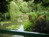A lagoa nos jardins de Monet