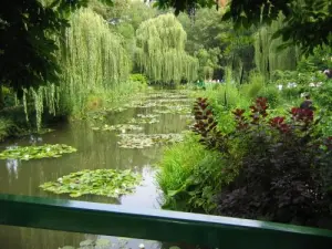 Lo stagno nei giardini di Monet