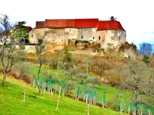 Castillo Montby (© Jean Espirat)