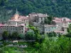 Gorbio - ゴルビオの村の眺め
