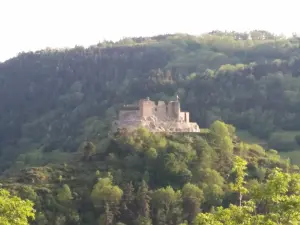 Saint-Martin-de-Fugères道路からのビューフォート城