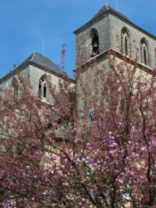 Towers of Saint-Pierre church