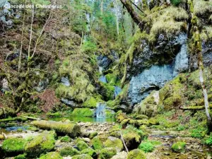 At the outlet of the gorge, the fourth basin (© JE)