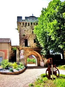 旧城堡的入口，内部庭院的视图（©J.E)