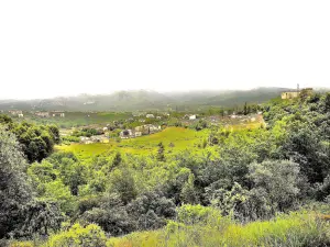 Panorama da estrada de Manosque (© Jean Espirat)