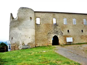 Torre Noroeste e portão de entrada para o castelo dos Templários (© JE)