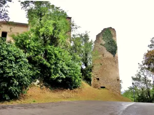 Torre Sul - Oeste, fora do Castelo dos Templários (© JE)