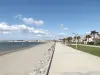 Promenade en strand van Grazel