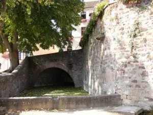 cavallo Lavoir