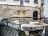 Fontaine-lavoir Saint-Pantaléon (© J.E)