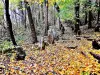 menhirs of Appenthal (© Jean Espirat)