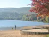 Wasserloch Courtille im Herbst