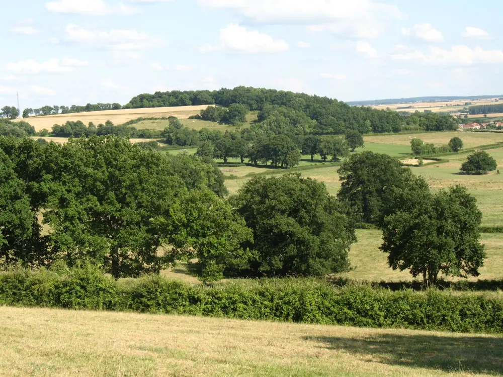 Photos GuillonTerrePlaine Tourism, Holidays & Weekends