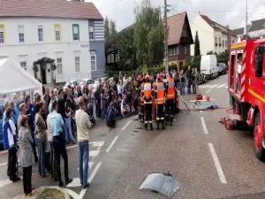 dag van de verkeersveiligheid