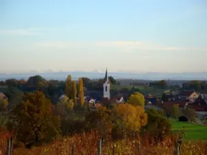 Het dorp gezien vanaf de wijngaard (© V.Schneider)