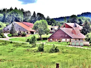 Granjas tradicionales de Haut-Doubs (© JE)