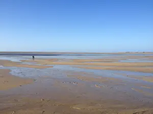 Walk at low tide