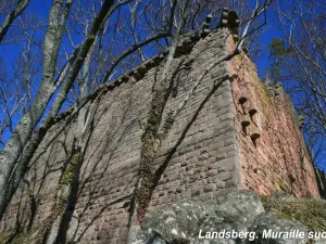 Zuiden buitenmuur - Buitenaanzicht (© J.E)