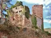 House of Landsberg Castle (© Jean Espirat)